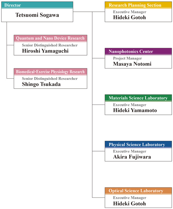 Organogram