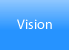 Vision