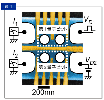 図１：「多機能量子演算素子」の電子顕微鏡写真