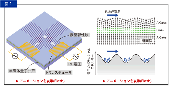 図１