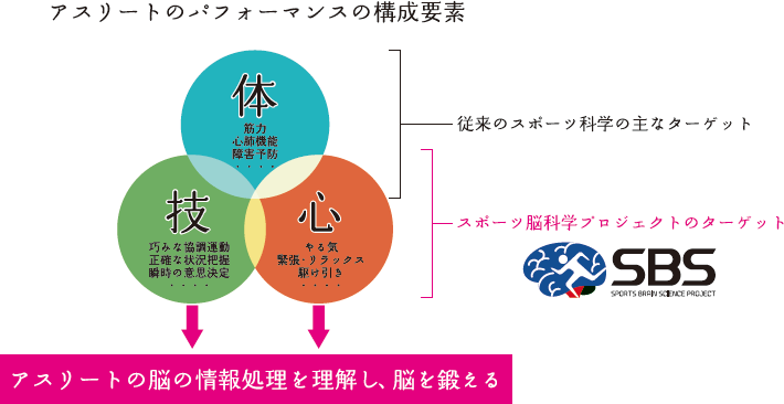 図2．SBSプロジェクトの取り組み