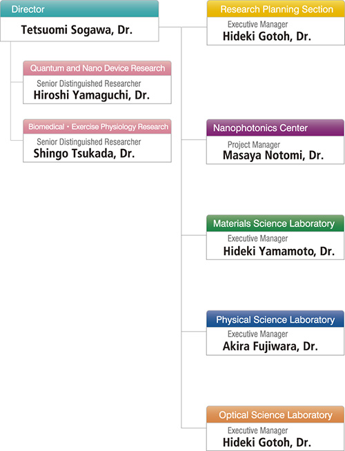 Organogram