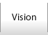 Vision