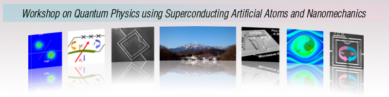 Workshop on Quantum Physics using Superconducting Artificial Atoms and