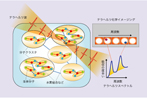 コースI：電波で医薬分子を可視化する ～テラヘルツ化学イメージングによる水素結合の可視化技術～