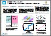 超伝導量子ポイントコンタクト