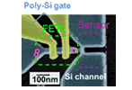 ツアー１：電子1個を操るナノデバイス作製技術 －クリーンルーム見学－