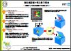 超伝導回路で見る量子現象