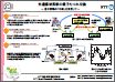 光通信波長帯の量子もつれ交換実験