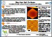 Step-free Gallium nitride grown surface