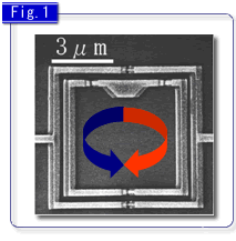 Fig.1