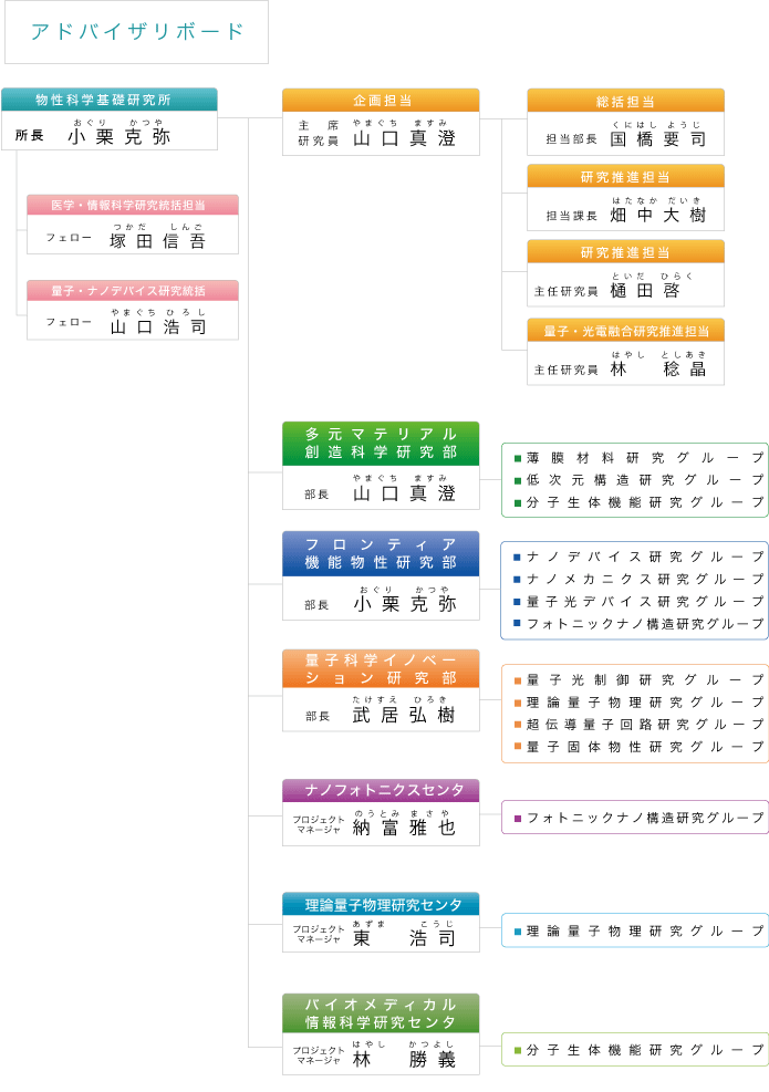 Organogram