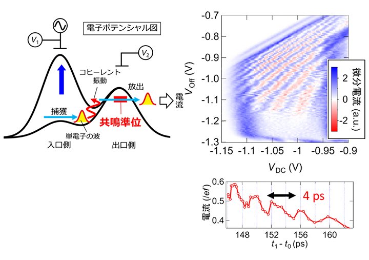 シリコン量子ドット中の超高速量子振動の検出