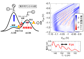 シリコン量子ドット中の超高速量子振動の検出