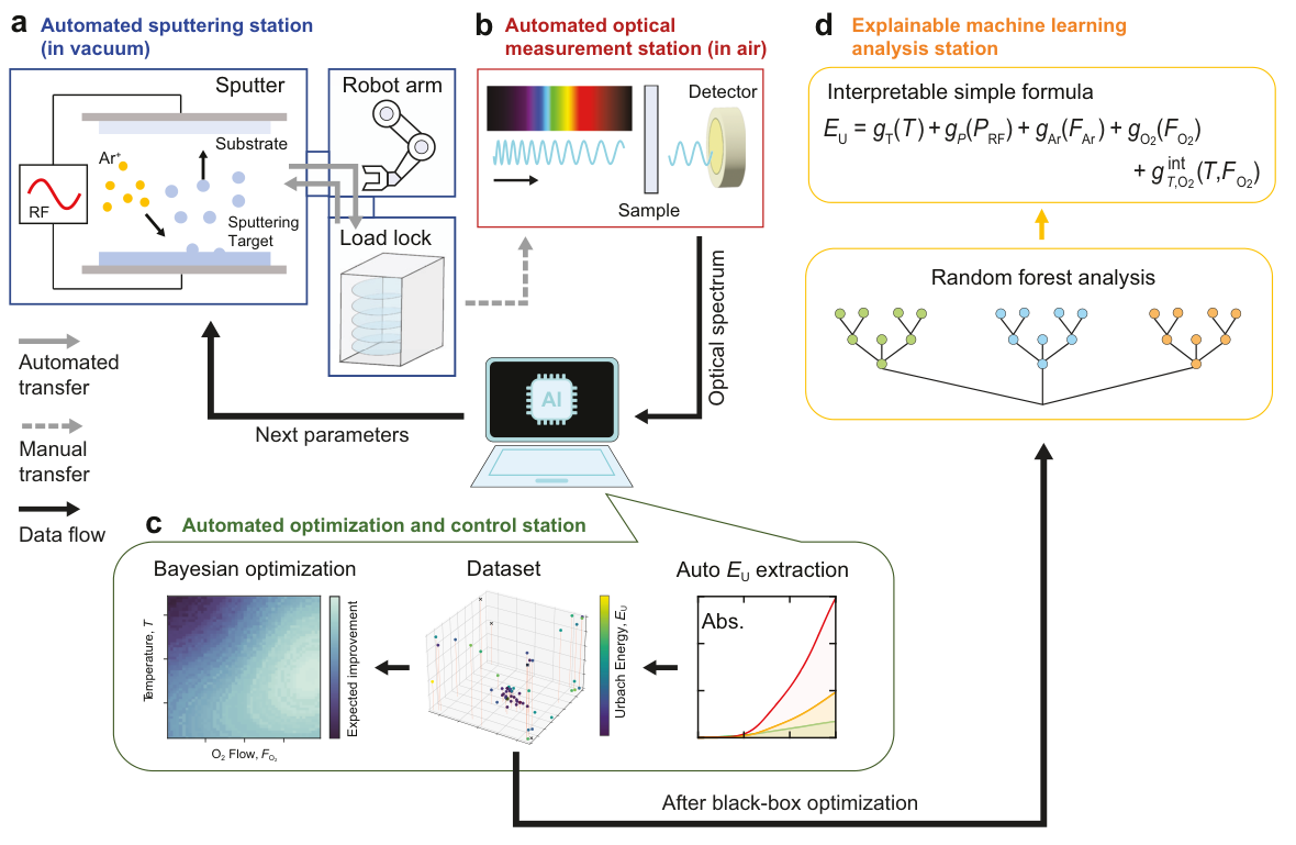 The interpretable SDL workflow links closed-loop optimization to an explicit growth-rule analysis.