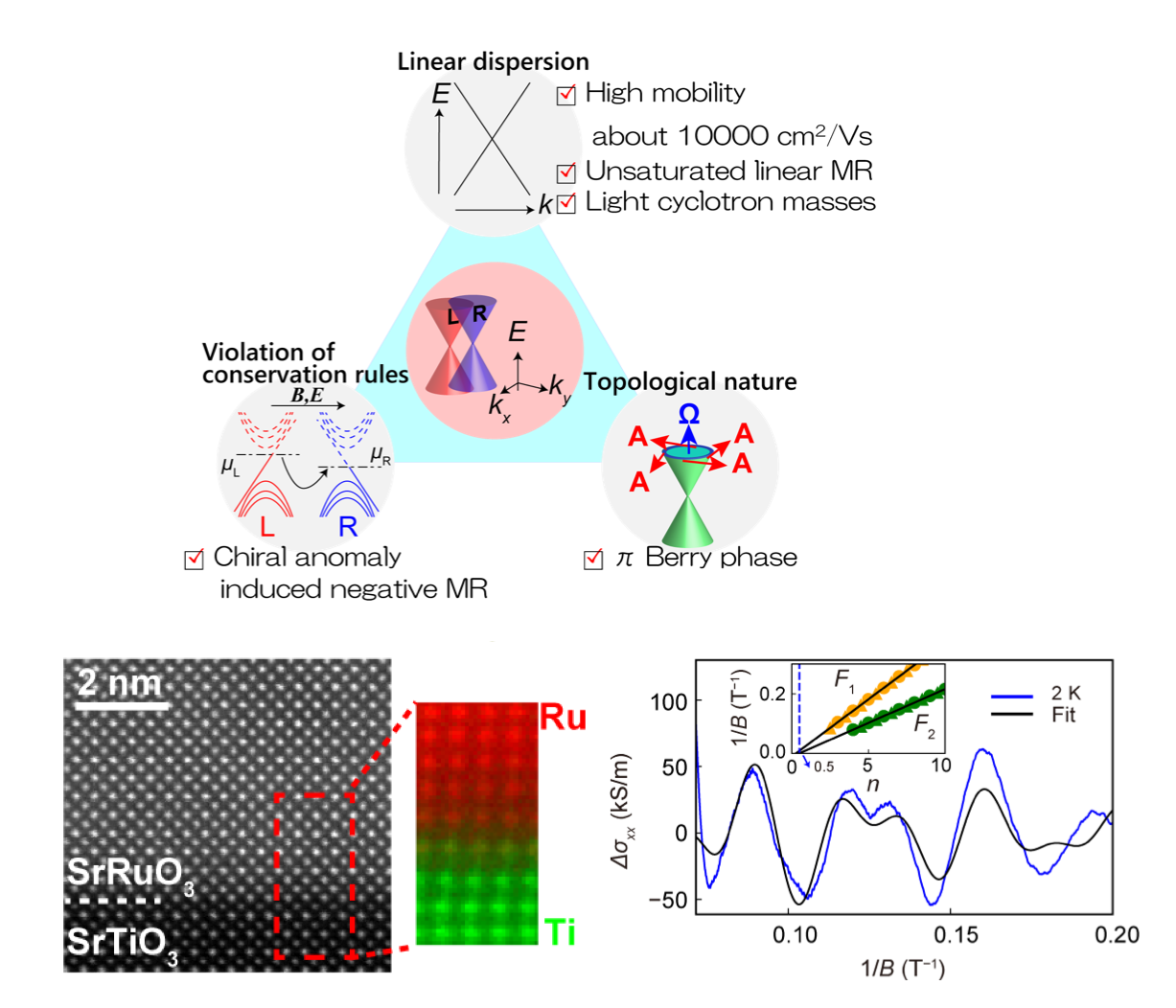 Weyl transport signatures, atomic structure, and quantum oscillations in ferromagnetic SrRuO₃.